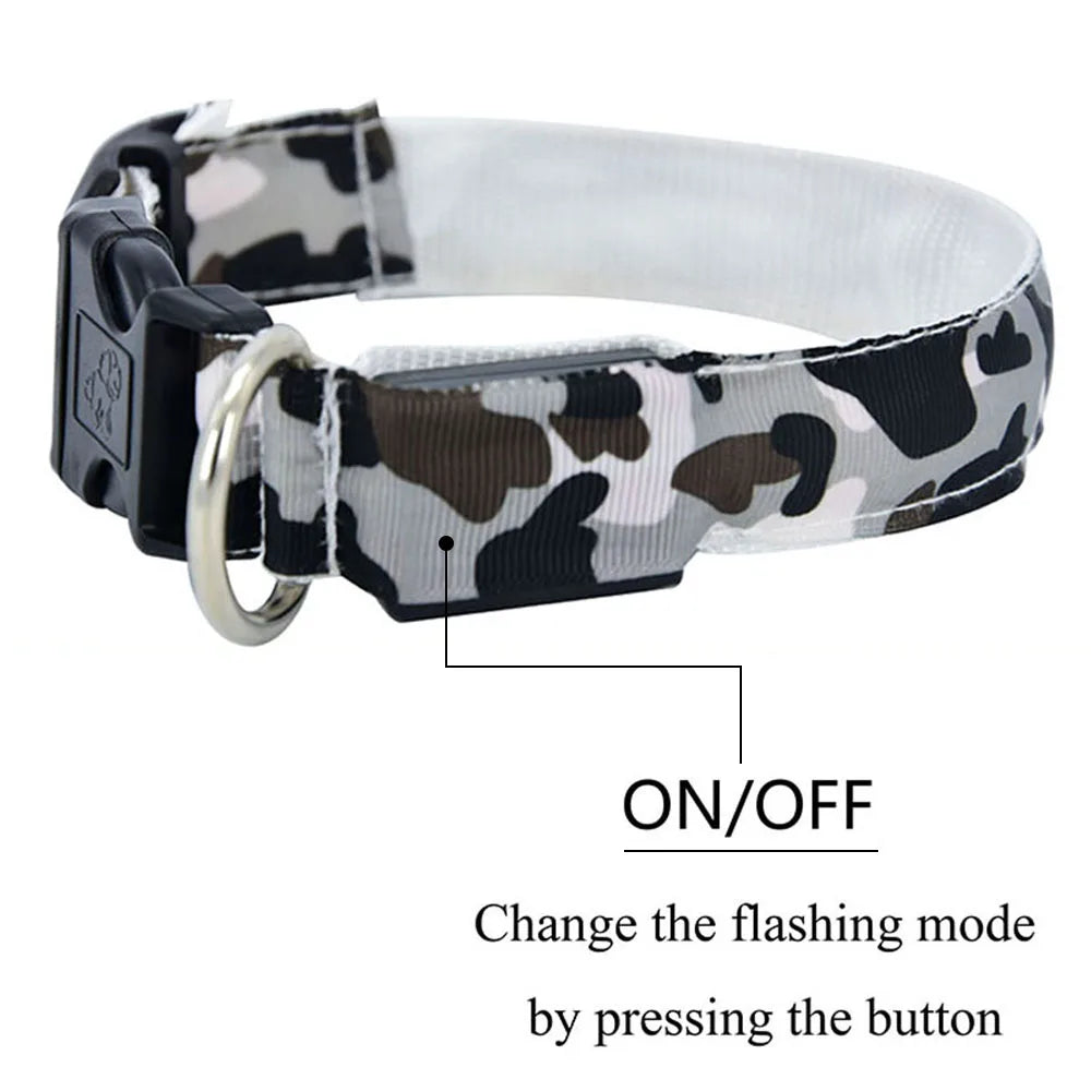 LED Dog Collar Luminous Pet Products Safety