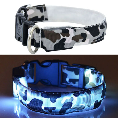 LED Dog Collar Luminous Pet Products Safety