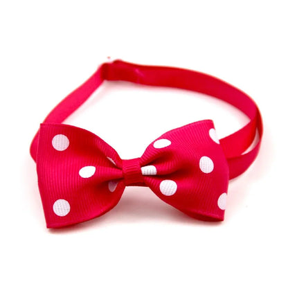 Holiday Pet Bow Collar