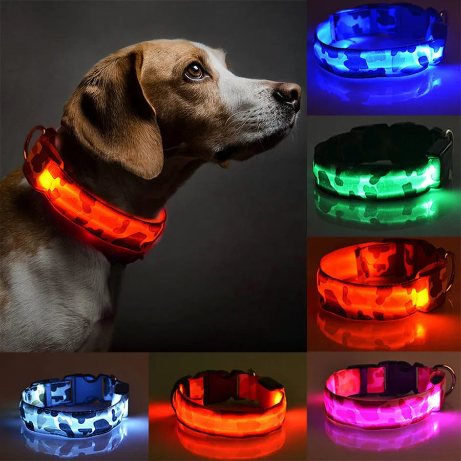 LED Dog Collar Luminous Pet Products Safety